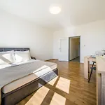 Apartia Vlhka 26, Brno-centrum Апартаменты