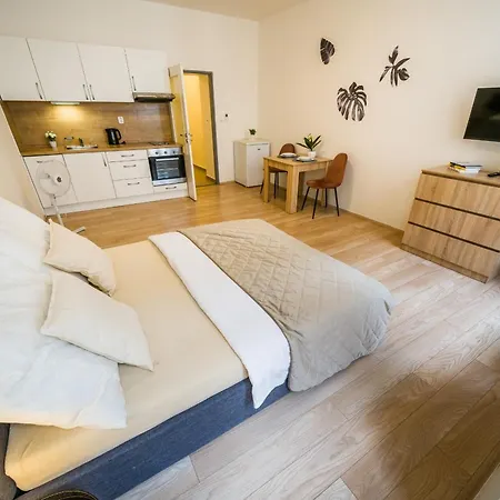 Apartia Vlhká 26, Brno-centrum * Brno
