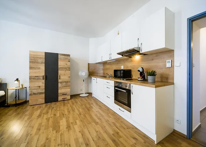Apartia Vlhká 26, Brno-centrum Brno